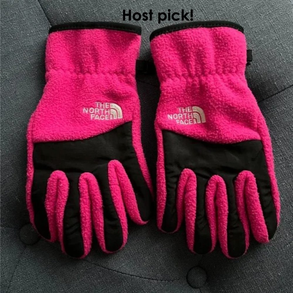 **2xHP** The North Face Winter Gloves (Kids/Youth Medium)